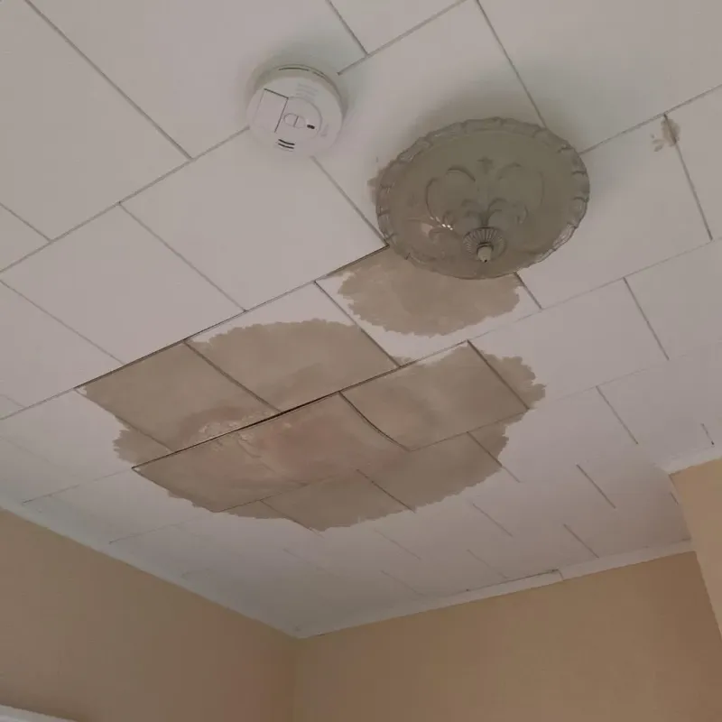 Ceiling Water Damage Repair in Kirtland, OH
