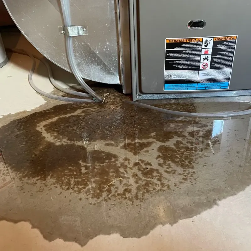 Pipe Burst and Leak Restoration in Kirtland, OH
