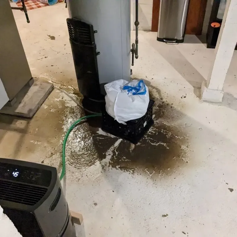 Sewage Backup Cleanup Service in Kirtland, OH